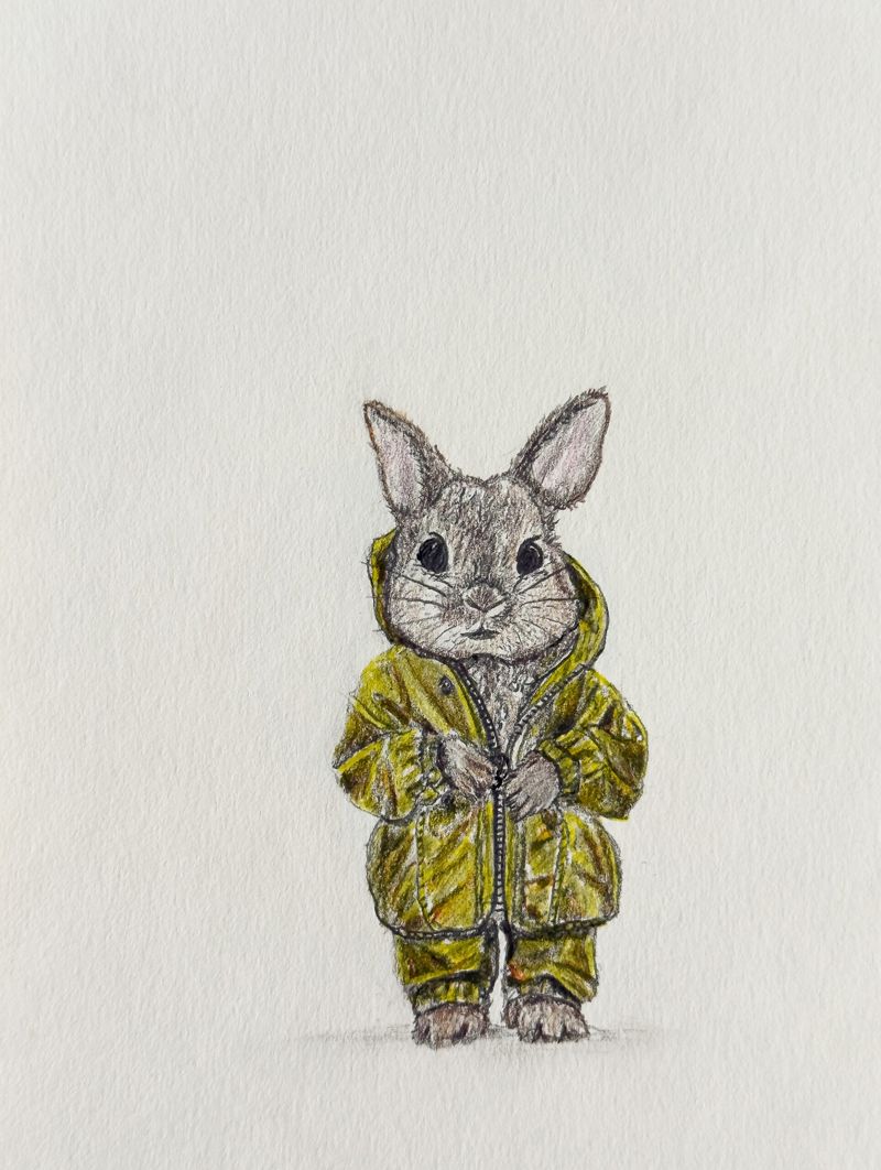 Bunny